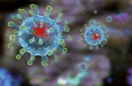 В связи с угрозой коронавирусной инфекции НИУ МГСУ переходит на дистанционное обучение.